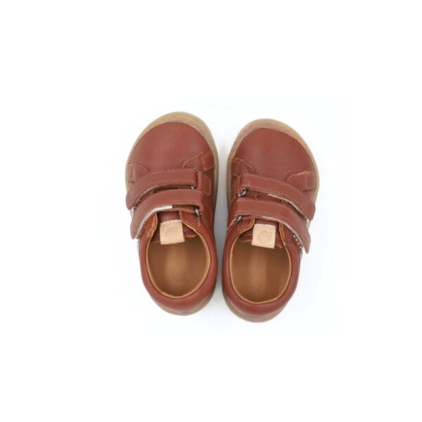 Minimus Woodpecker Tan — zdjęcie 4